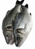 Fisch richtig Auftauen Fisch richtig Auftauen