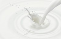 Angebrannte Milch Angebrannte Milch